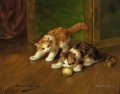 Kätzchen spielen eine Schothorn Alfred Brunel de Neuville